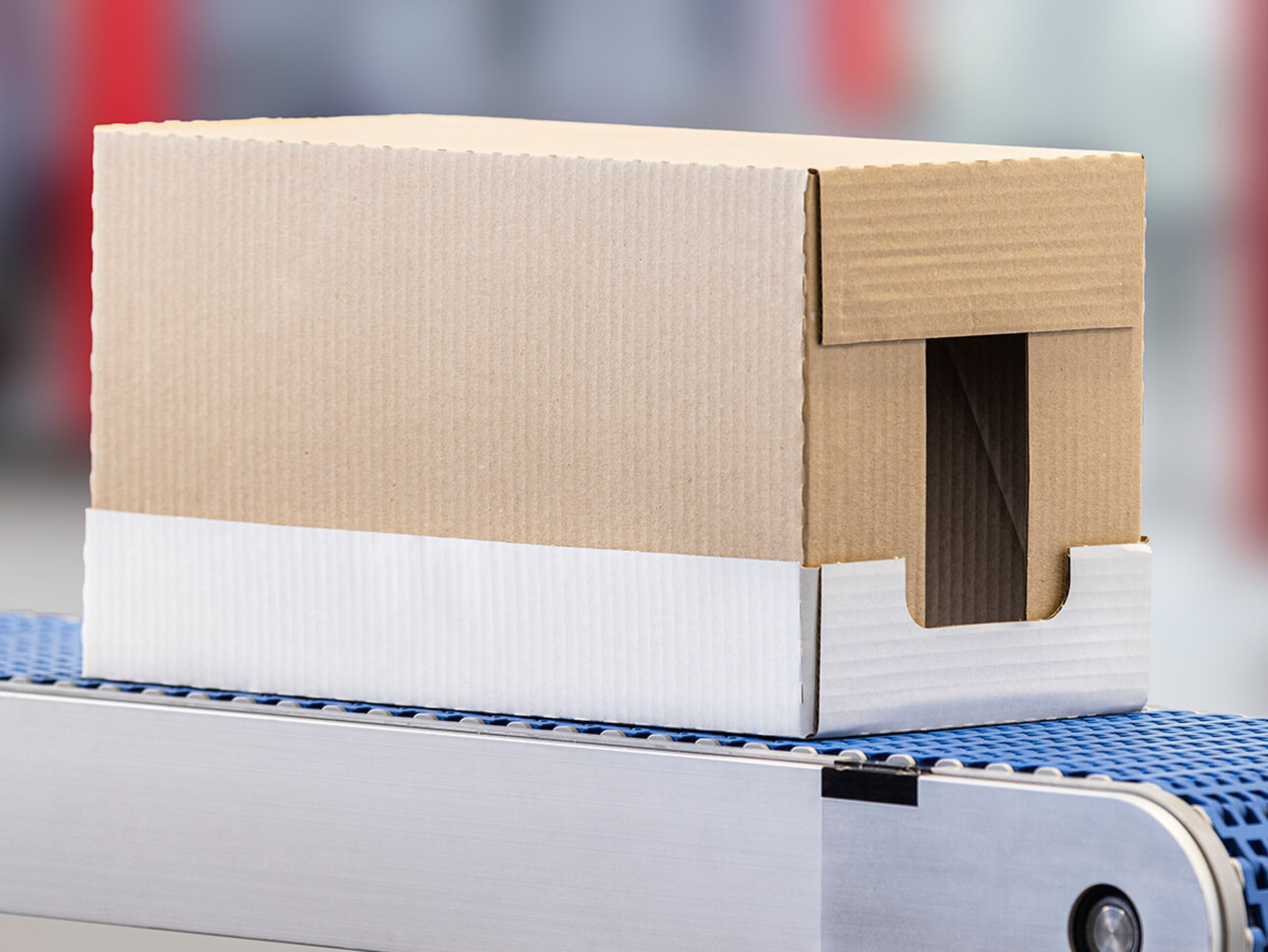 Deckel/Tray-Verpackung