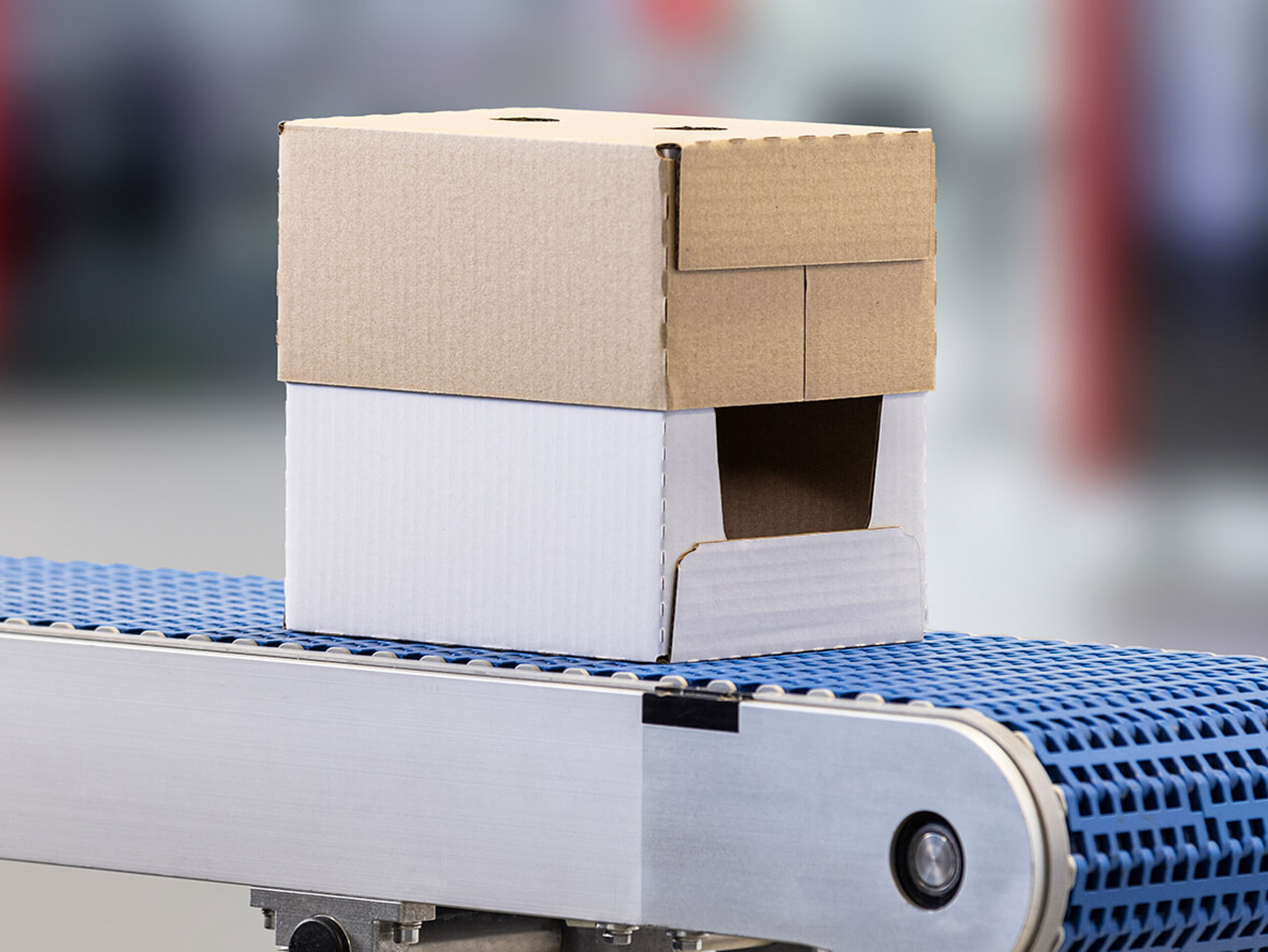 Tray/Deckel-Verpackung