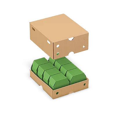Deckel/Tray-Verpackung